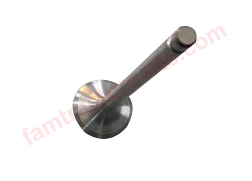 Cylinder Intake and Exhaust Valves