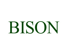 BISON